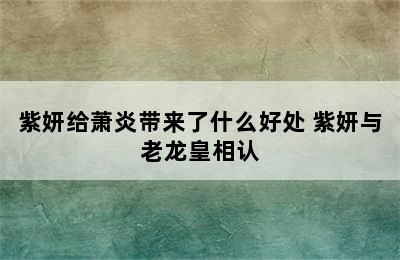 紫妍给萧炎带来了什么好处 紫妍与老龙皇相认